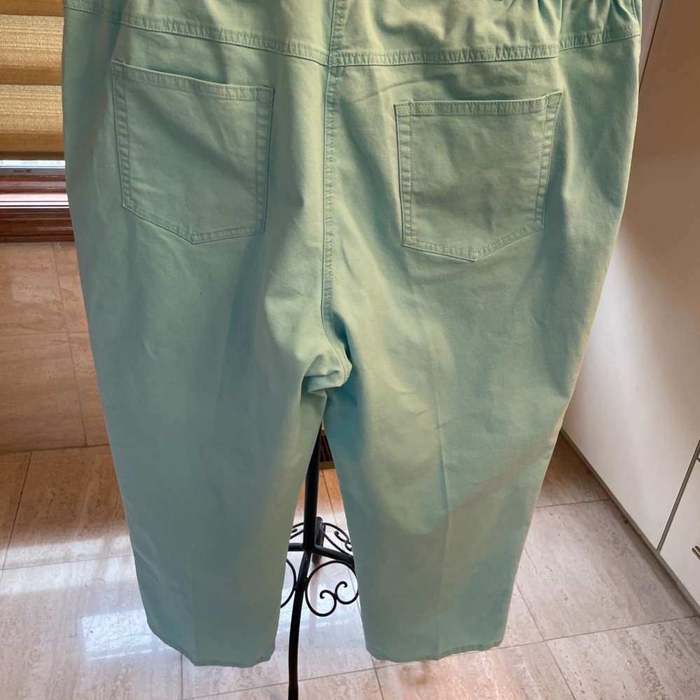 HEARTS of PALM Woman Mint Green Suit JACKET Sz 16W/Pants Sz 18W Beaded accents - Picture 14 of 16